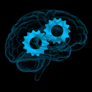 Human Brain