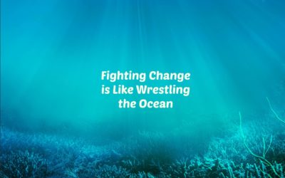 Fighting Change is Like Wrestling the Ocean