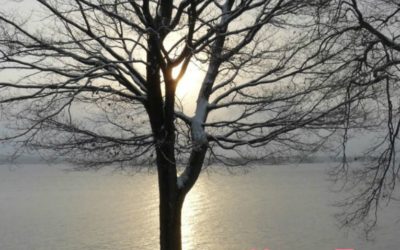 How to Create Personal Freedom