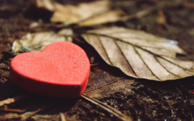 The Role of Gratitude in Healthy Relationships