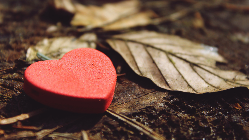 The Role of Gratitude in Healthy Relationships